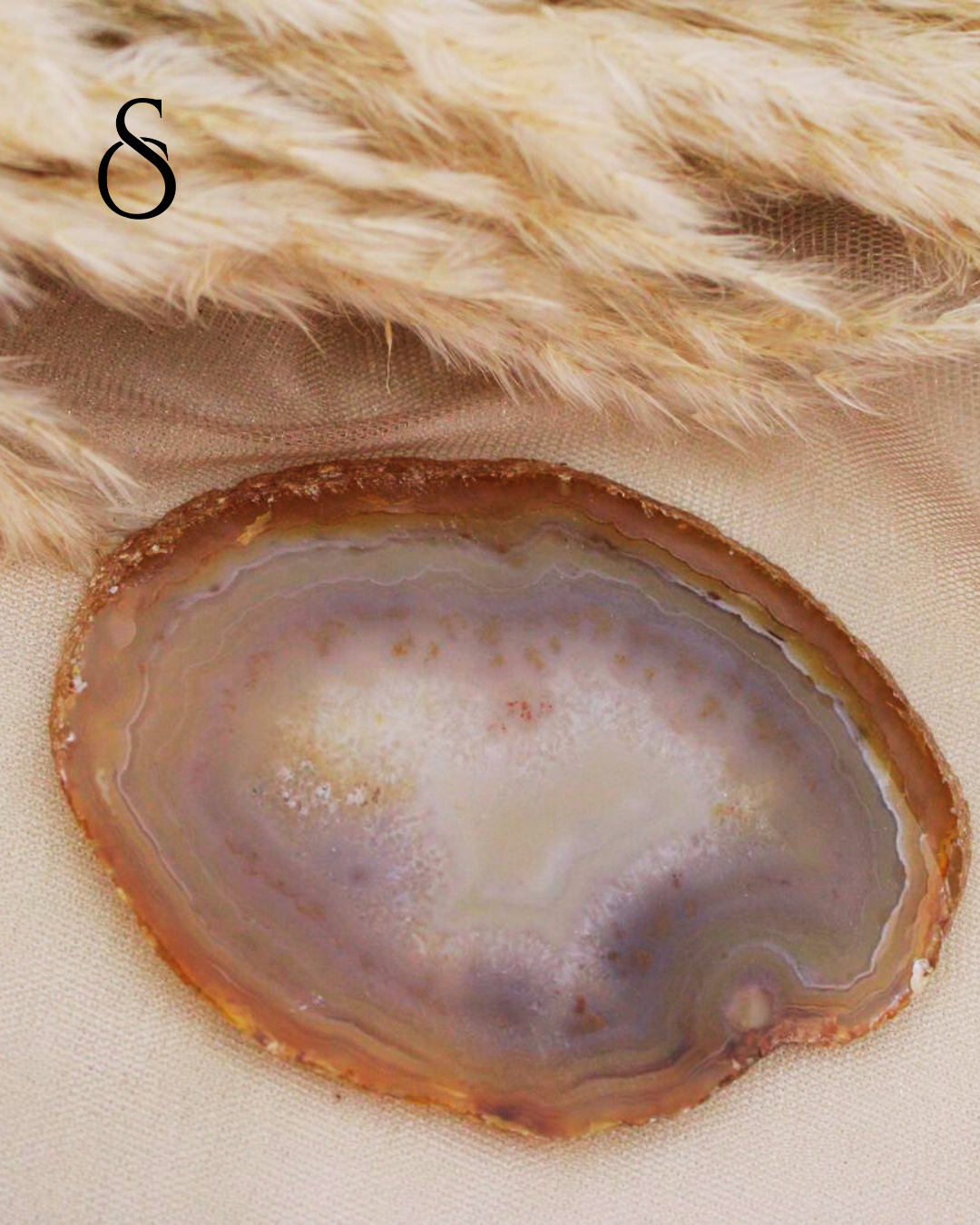 Ágata Café-Gris: historia mineral y texturas naturales