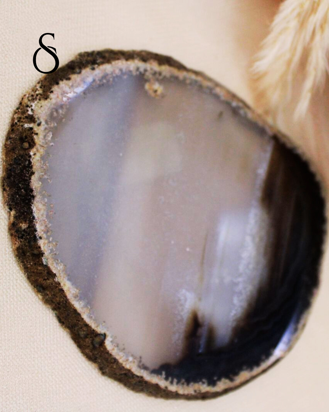 Geoda Bicolor Pulida: fuerza orgánica con elegancia mineral